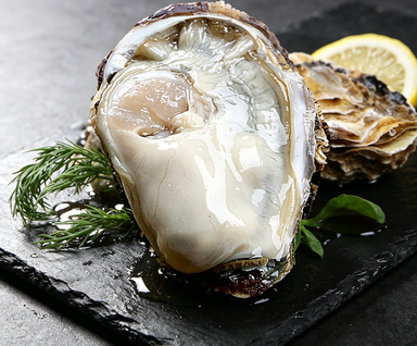 Fresh Oysters