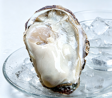 Fresh Oysters