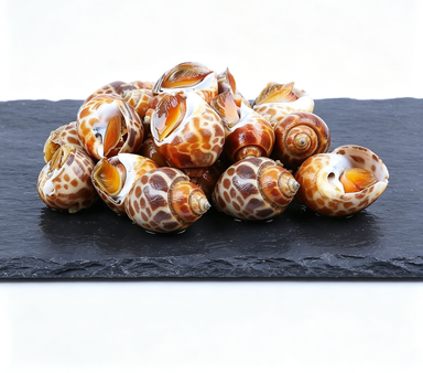 Whelk Meat